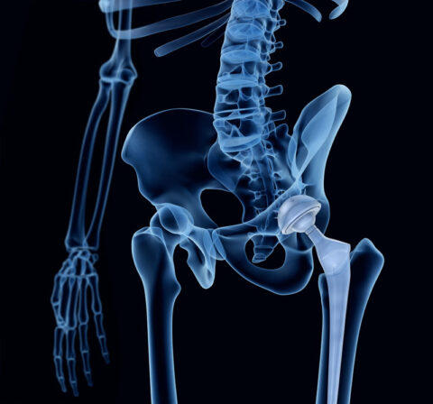 xray of pelvic and lower back